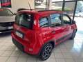 Fiat Panda Panda III 2021 1.0 firefly hybrid Sport 5 POSTI Rosso - thumbnail 4