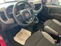 Fiat Panda Panda III 2021 1.0 firefly hybrid Sport 5 POSTI Rosso - thumbnail 7