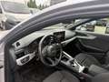 Audi A4 allroad A4 Allroad quattro 40 TDI quattro S-tronic Grau - thumbnail 9