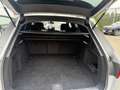 Audi A4 allroad A4 Allroad quattro 40 TDI quattro S-tronic Grau - thumbnail 16