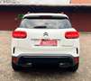 Citroen C5 Aircross Shine Weiß - thumbnail 5