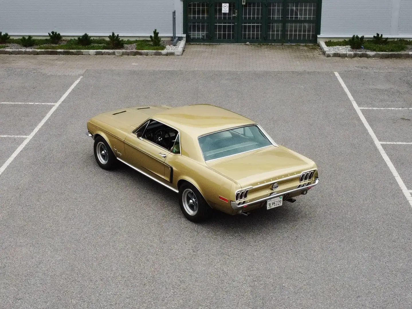 Ford Mustang Coupe, 289ci V8, GT-Ausst., CA-Car, TÜV- und H! Złoty - 2
