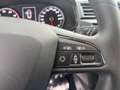 SEAT Ibiza Basis Rot - thumbnail 22