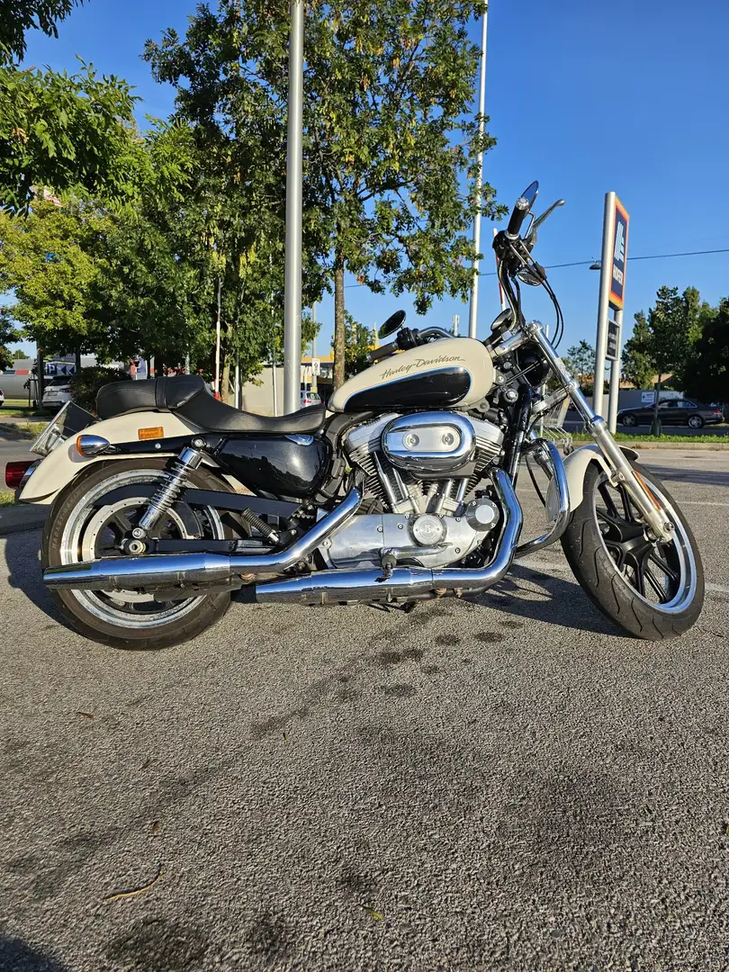 Harley-Davidson Sportster XL 883 SuperLow Beige - 2