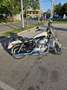 Harley-Davidson Sportster XL 883 SuperLow Beige - thumbnail 10
