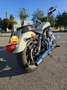 Harley-Davidson Sportster XL 883 SuperLow Beige - thumbnail 12
