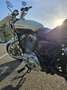 Harley-Davidson Sportster XL 883 SuperLow Beige - thumbnail 15