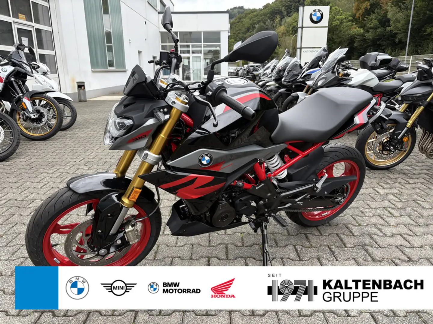 BMW G 310 R Gris - 1
