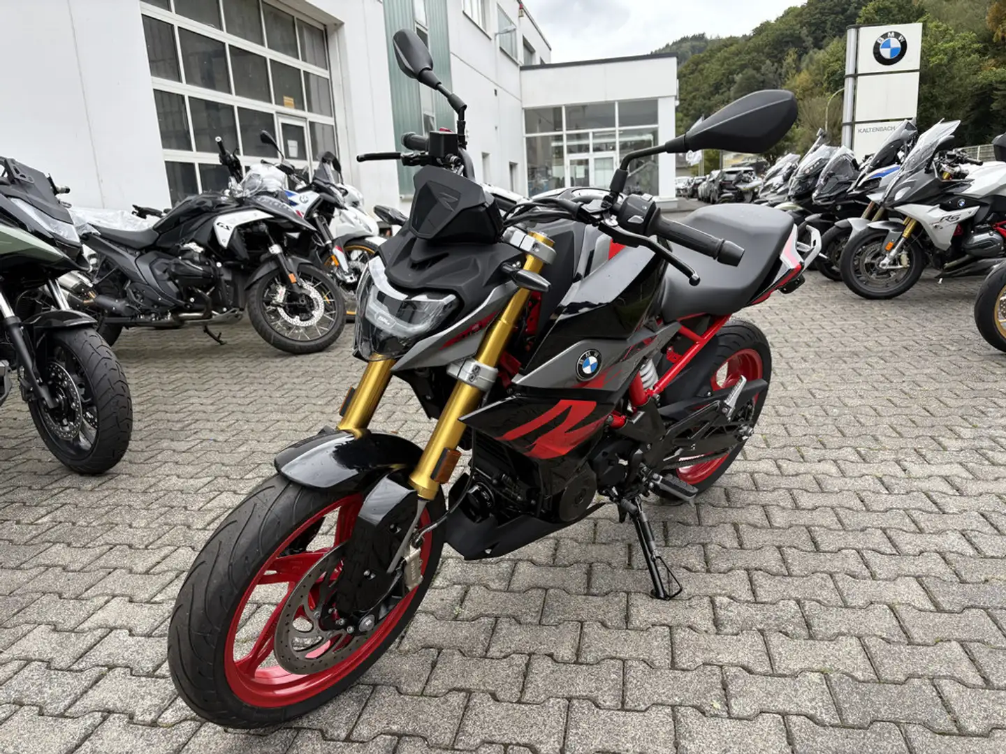 BMW G 310 R Gris - 2
