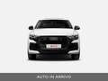Audi RS Q8 4.0TFSI 640CV quattro tiptronic Performance Bianco - thumbnail 3