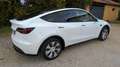 Tesla Model Y - thumbnail 3
