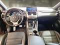 Lexus NX 300h Hybrid F Sport 4WD - thumbnail 7
