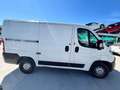 Fiat Ducato 2.2 D L1H1 - GD661AP Bianco - thumbnail 8