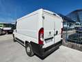Fiat Ducato 2.2 D L1H1 - GD661AP Bianco - thumbnail 6
