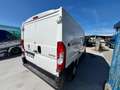 Fiat Ducato 2.2 D L1H1 - GD661AP Bianco - thumbnail 7