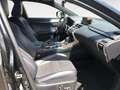 Lexus NX 300 Hybrid 4WD F-Sport Schwarz - thumbnail 11