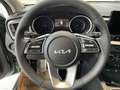 Kia Ceed / cee'd ceed 1,5 TGDI Silber plus Paket P2 Style Grün - thumbnail 18
