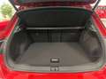 Volkswagen T-Roc 1.5 tsi R-Line Plus dsg Rood - thumbnail 14