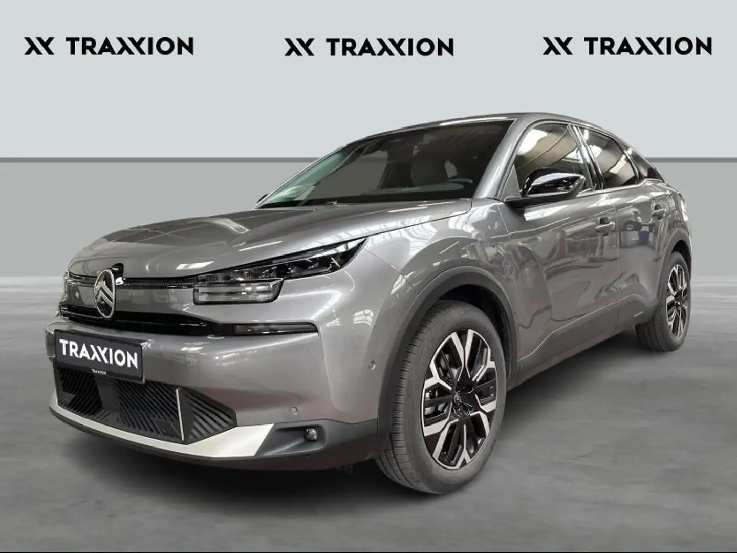 Citroen C4 MAX Gris - 1