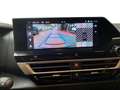 Citroen C4 MAX Gris - thumbnail 17