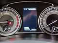 Suzuki Vitara Vitara 1.4 Hybrid 4WD AllGrip Easy Starview Bianco - thumbnail 7