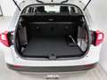 Suzuki Vitara Vitara 1.4 Hybrid 4WD AllGrip Easy Starview Bianco - thumbnail 12