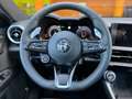 Alfa Romeo Tonale 1.6 diesel 130 CV TCT6 Veloce NUOVO Grigio - thumbnail 12