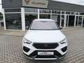 CUPRA Ateca 2.0TSI 300 PS DSG 4Drive AHK Beats Fahrassipaket Blanco - thumbnail 19