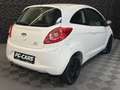 Ford Ka/Ka+ 1.2 Iconic Pickerl neu Weiß - thumbnail 16