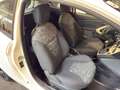 Ford Ka/Ka+ 1.2 Iconic Pickerl neu Weiß - thumbnail 19