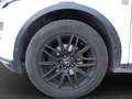 Land Rover Range Rover Evoque Dynamic 2,2 TD4 Aut. Weiß - thumbnail 19