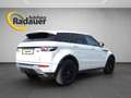 Land Rover Range Rover Evoque Dynamic 2,2 TD4 Aut. Weiß - thumbnail 5