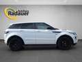 Land Rover Range Rover Evoque Dynamic 2,2 TD4 Aut. Weiß - thumbnail 6
