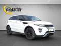 Land Rover Range Rover Evoque Dynamic 2,2 TD4 Aut. Weiß - thumbnail 7