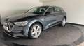 Audi e-tron 50 quattro Launch edition 71 kWh | Luchtvering | P Gris - thumbnail 12