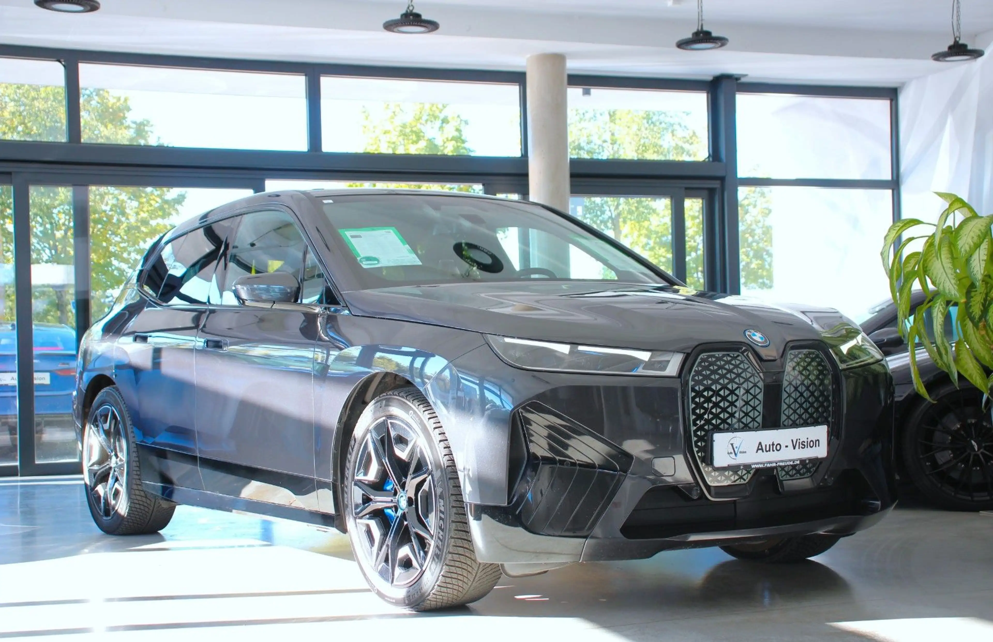 BMW iX xDrive40 Sport (I20) *Laser*AHK*Sky Lounge — photo 5