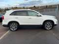 Kia Sorento 4WD Pano Navi Leder Ahk kamer Xenon Weiß - thumbnail 8