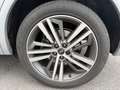 Audi Q5 Business Executive Grau - thumbnail 12