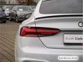 Audi RS5 tiptr. 280km/h/RS-AGA/Pano Gris - thumbnail 11