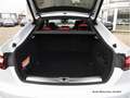 Audi RS5 tiptr. 280km/h/RS-AGA/Pano Grau - thumbnail 23