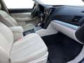 Subaru OUTBACK Outback Touring Wagon 2,0 D Comfort AWD CVT Schwarz - thumbnail 13