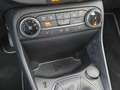 Ford Fiesta Hybrid 125PS Titanium*LED*WiPa*Klimaaut.* Grau - thumbnail 13