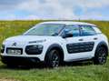 Citroen C4 Cactus C4 Cactus PureTech 75 Start Weiß - thumbnail 1
