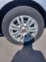 Fiat Punto 5p 1.3 mjt II 16v Lounge eco Plateado - thumbnail 4