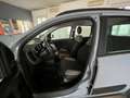 Fiat Panda Panda III 1.0 firefly hybrid s&s Gris - thumbnail 8