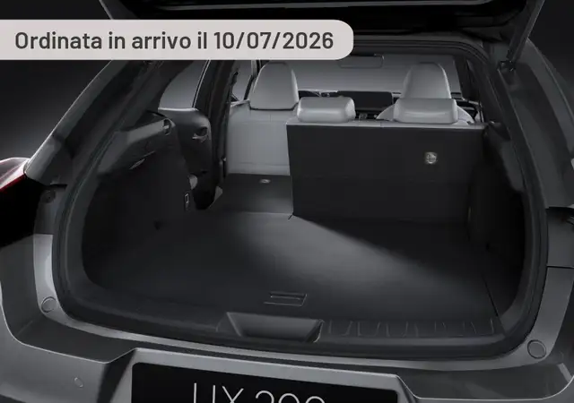 Lexus UX 300h 300h 4WD Luxury