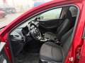 Mazda 2 Prime-Line Rot - thumbnail 8