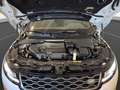 Land Rover Range Rover Evoque D240 R-Dynamic S LM 18" RFK N Weiß - thumbnail 21
