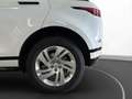 Land Rover Range Rover Evoque D240 R-Dynamic S LM 18" RFK N Weiß - thumbnail 12
