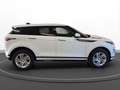Land Rover Range Rover Evoque D240 R-Dynamic S LM 18" RFK N Weiß - thumbnail 5
